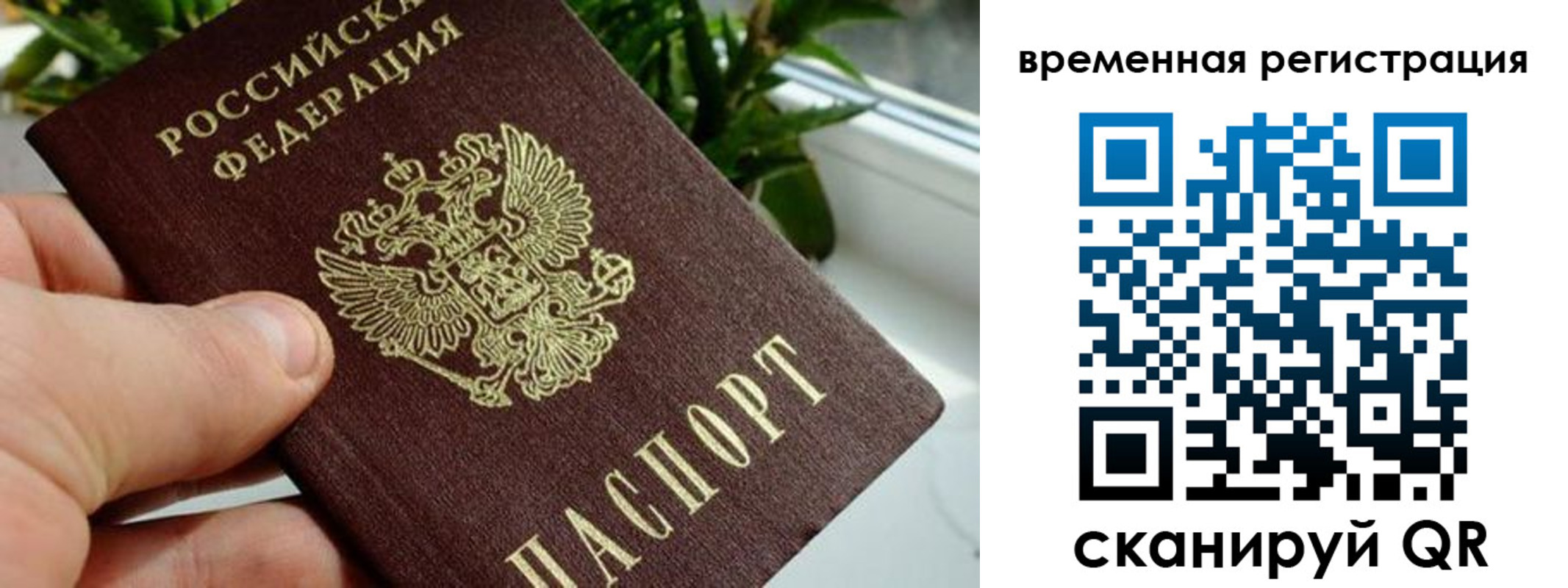 прописка поиск в Нижневартовске